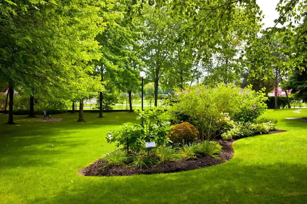 Parc arboré avec pelouse entretenue et massif fleuri